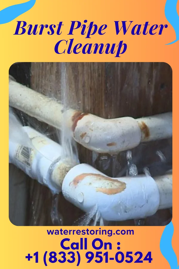 Burst Pipe Water Cleanup in New Miami, OH
