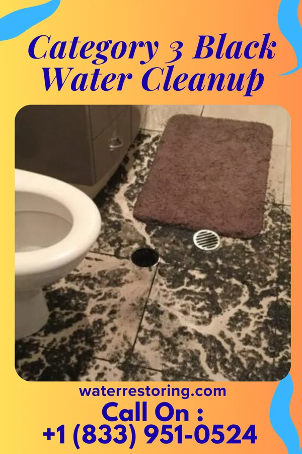 Category 3 Black Water Cleanup in New Miami, OH