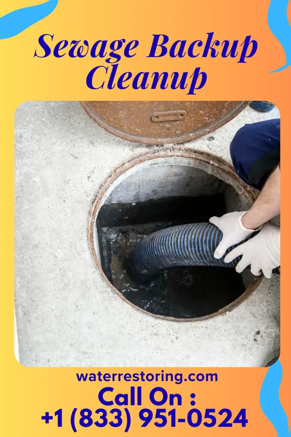 Sewage Backup Cleanup in New Miami, OH
